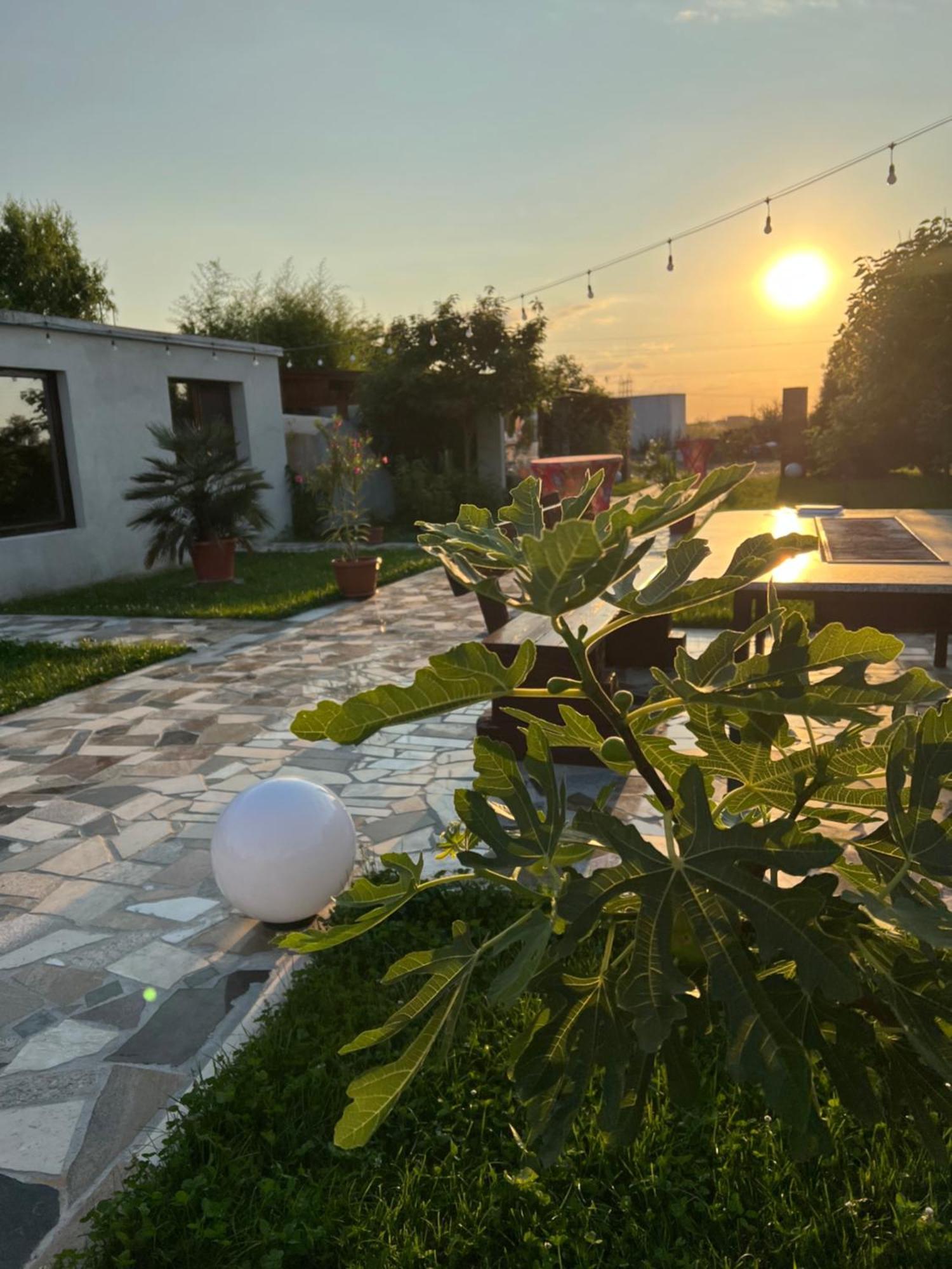 La Casa Blanca Apartment Vladimirescu Luaran gambar